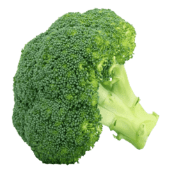 Broccoli